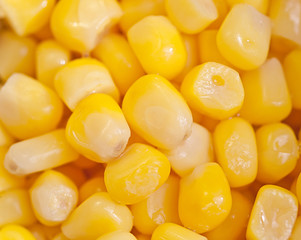 macro shot of corn