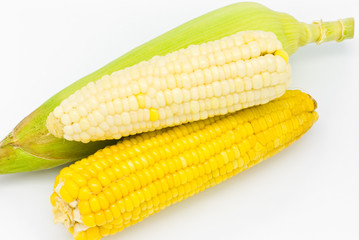 Fresh corn