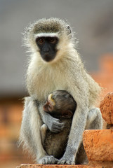 Naklejka premium Mother and Child