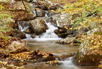 Fototapeta na wymiar Autumn scenery with stream