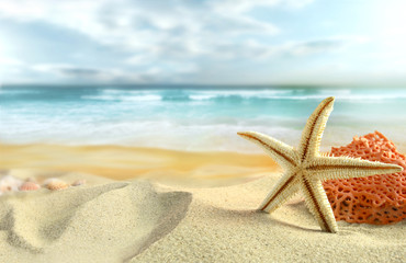Panele Szklane  Rozgwiazda na plaży