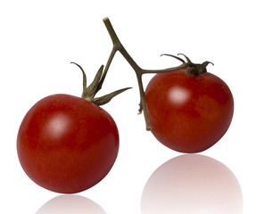 Tomato