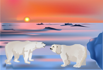 two bears in snow landscape