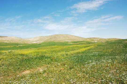 Spring view of green fields and hills in Samaria, Israel.
