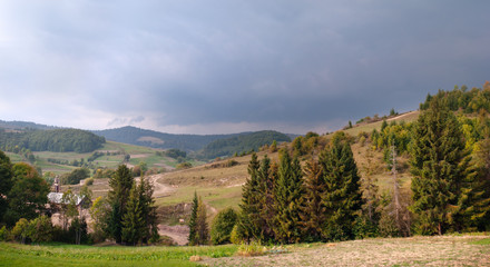 Fototapeta na wymiar Mountains landscape with pine forest
