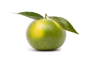 Juicy grapefruit isolated on a white background.