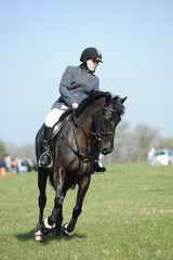 Show jumping horse event