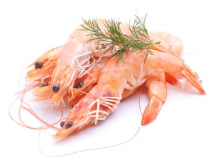 Scampi