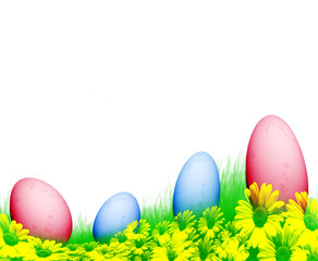 Easter eggs  on green grass an white isolated background .