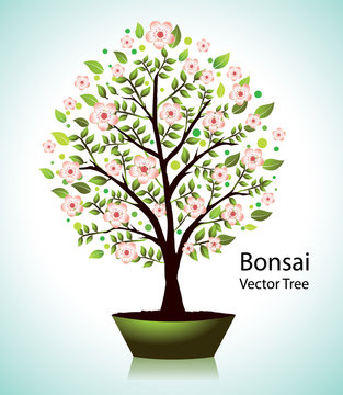 Beautiful vector blooming bonsai