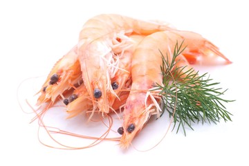 Scampi