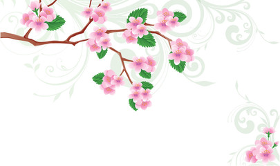 Spring card Flowered sakura. vector illustration