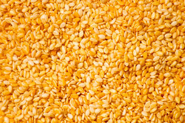 Yellow sesame