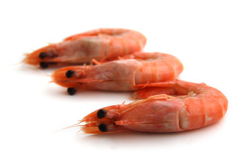 Crevettes