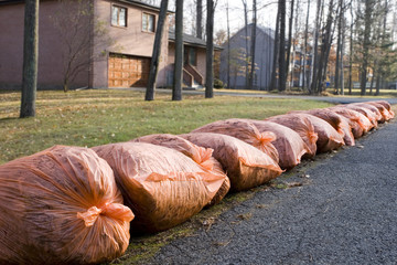 Many orange garbage bags at curb © imageegami