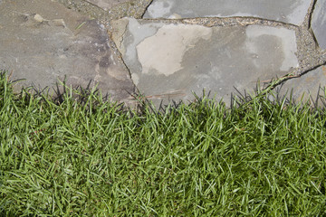 flagstone grass edge