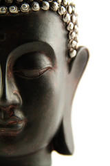 Buddha Kopf