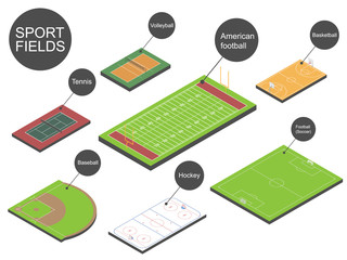 Sport fields. Vector illustration.