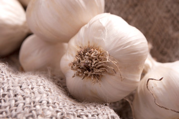 close up galic on linen