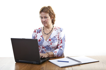 Fototapeta premium Businesswoman working on a laptop
