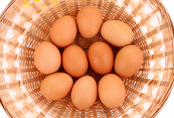 Eggs in basket