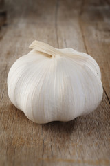 one garlic on wood background
