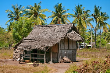Fototapeta na wymiar Rural hut