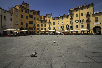 Lucca, Piazza Anfiteatro - obrazy, fototapety, plakaty
