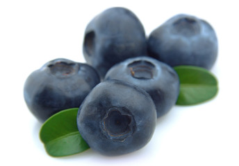 Blueberry closeup