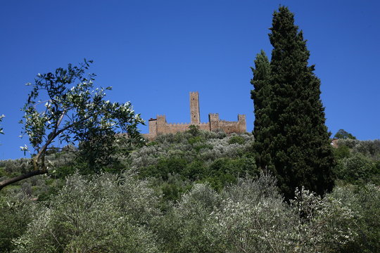 Montecchio Vespone, castello
