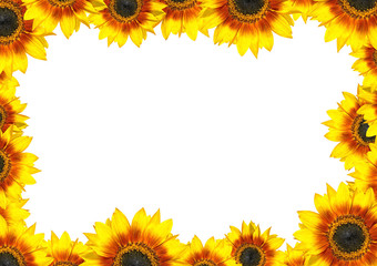 Sunflower Frame with place for your text