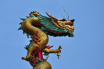 Dragon with bluesky