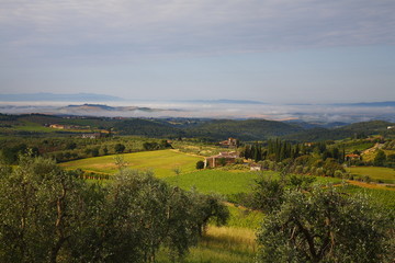 Fototapeta na wymiar Chianti wzgórza i winnice