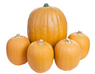 Large and Small Pumpkins, Isolated, white