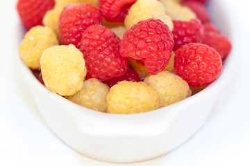 Red and Yellow Raspberry