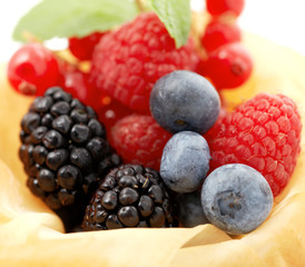berry
