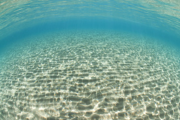 Ripples of sunlight reflected on the sandy ocean floor.