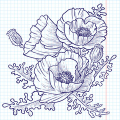 Fototapeta premium Poppies