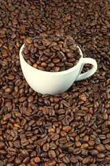 Kaffeebohnen