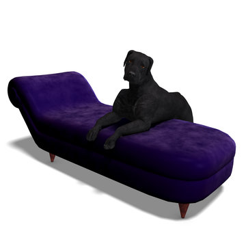 Labrador Retriever Dog. 3D rendering with clipping path and
