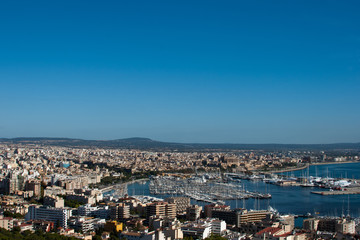 Palma