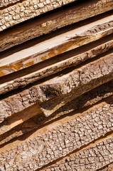 Baumscheiben, Holzqualität, Tischlerei, Naturmaterialien