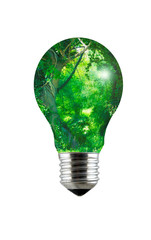 Green Forest Inside Lightbulb