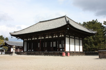 Fototapeta premium 興福寺の東金堂