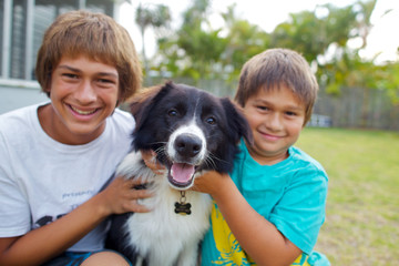 Two brothers with their Border Collie
