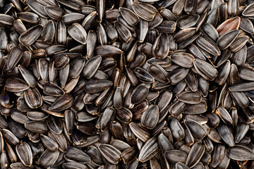 background of seeds