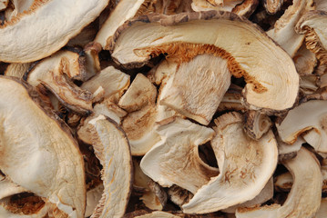 Shiitake