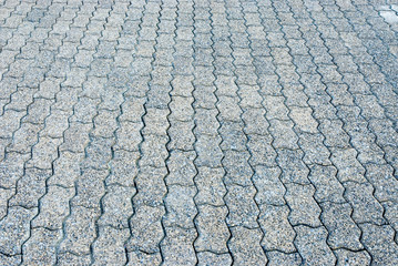 brick footpath in garden 1.