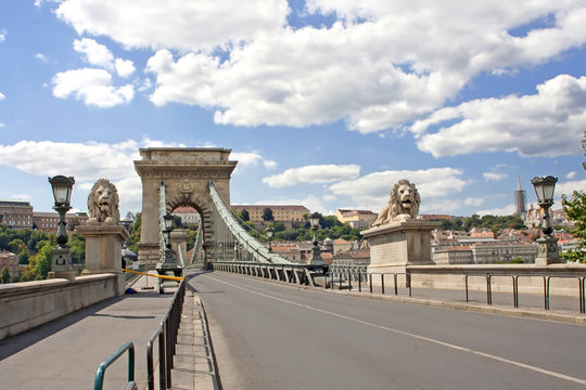 Lion Bridge In Budapest