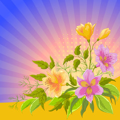 Fototapeta na wymiar Flower background, alstroemeria
